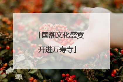 国潮文化盛宴开进万寿寺