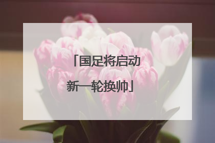 国足将启动新一轮换帅