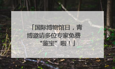 国际博物馆日，青博邀请多位专家免费“鉴宝”啦！