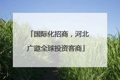 国际化招商，河北广邀全球投资客商