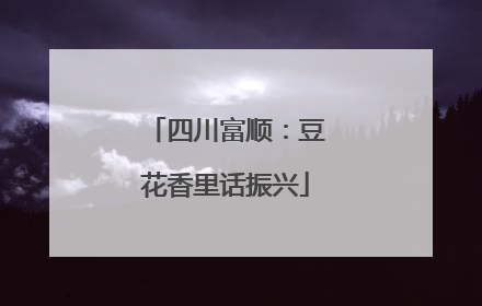 四川富顺：豆花香里话振兴