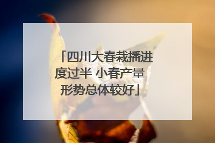四川大春栽播进度过半 小春产量形势总体较好