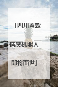 四川首款情感机器人即将面世