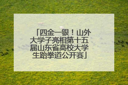 四金一银！山外大学子亮相第十五届山东省高校大学生跆拳道公开赛