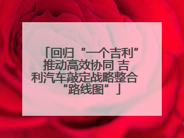 回归“一个吉利” 推动高效协同 吉利汽车敲定战略整合“路线图”
