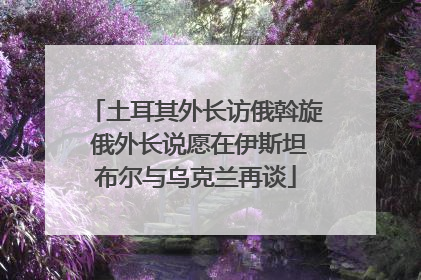 土耳其外长访俄斡旋 俄外长说愿在伊斯坦布尔与乌克兰再谈