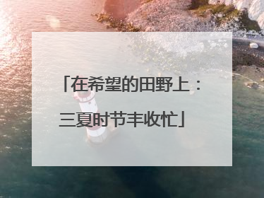 在希望的田野上：三夏时节丰收忙