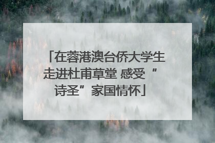 在蓉港澳台侨大学生走进杜甫草堂 感受“诗圣”家国情怀