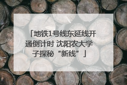 地铁1号线东延线开通倒计时 沈阳农大学子探秘“新线”