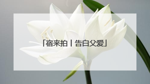 宿来拍丨告白父爱