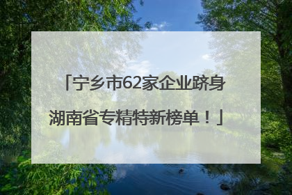 宁乡市62家企业跻身湖南省专精特新榜单！