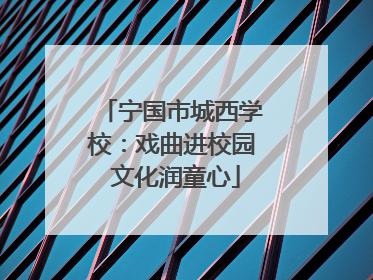 宁国市城西学校：戏曲进校园 文化润童心