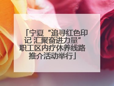 宁夏“追寻红色印记 汇聚奋进力量”职工区内疗休养线路推介活动举行