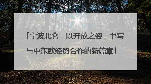 宁波北仑：以开放之姿，书写与中东欧经贸合作的新篇章