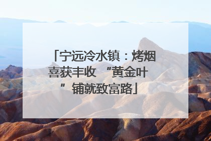 宁远冷水镇：烤烟喜获丰收 “黄金叶”铺就致富路