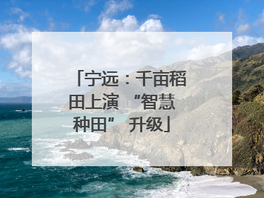 宁远：千亩稻田上演 “智慧种田” 升级