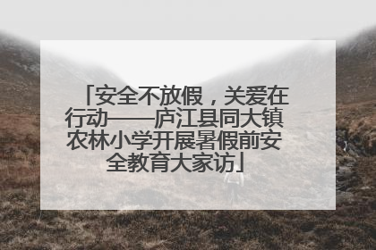 安全不放假，关爱在行动——庐江县同大镇农林小学开展暑假前安全教育大家访