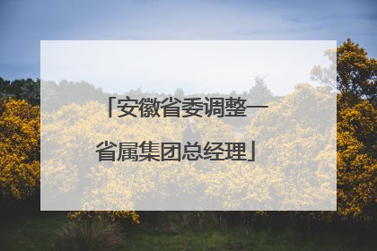 安徽省委调整一省属集团总经理