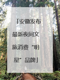 安徽发布最新夜间文旅消费“明星”品牌