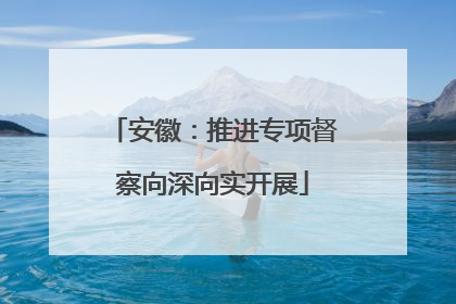 安徽：推进专项督察向深向实开展
