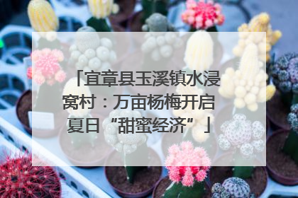 宜章县玉溪镇水浸窝村：万亩杨梅开启夏日“甜蜜经济”