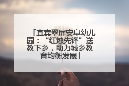 宜宾翠屏安阜幼儿园：“红烛先锋”送教下乡，助力城乡教育均衡发展