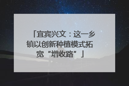 宜宾兴文：这一乡镇以创新种植模式拓宽“增收路”