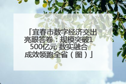 宜春市数字经济交出亮眼答卷：规模突破1500亿元 数实融合成效领跑全省（图）