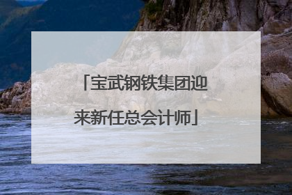 宝武钢铁集团迎来新任总会计师