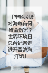 塑料垃圾对海龟有何致命伤害？世界环境日总台记者走进开普敦海洋馆