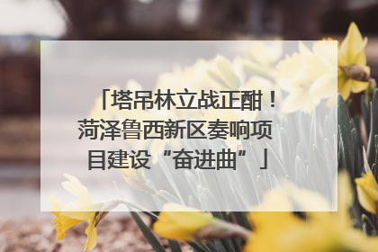 塔吊林立战正酣！菏泽鲁西新区奏响项目建设“奋进曲”