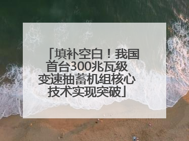 填补空白！我国首台300兆瓦级变速抽蓄机组核心技术实现突破