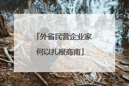 外省民营企业家何以扎根商南