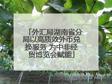 外汇局湖南省分局以高质效外币兑换服务 为中非经贸博览会赋能