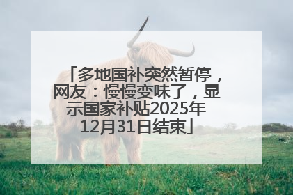 多地国补突然暂停，网友：慢慢变味了，显示国家补贴2025年12月31日结束