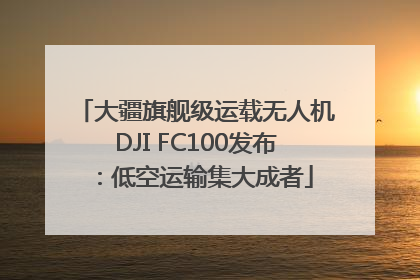 大疆旗舰级运载无人机DJI FC100发布：低空运输集大成者