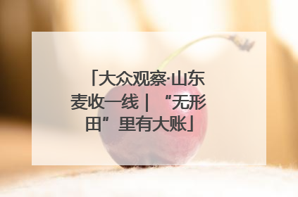 大众观察·山东麦收一线｜“无形田”里有大账
