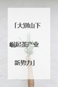 大别山下崛起茶产业新势力