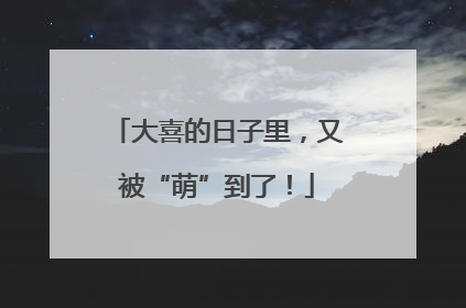 大喜的日子里，又被“萌”到了！