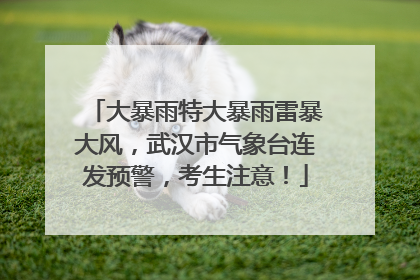大暴雨特大暴雨雷暴大风，武汉市气象台连发预警，考生注意！