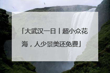 大武汉一日丨超小众花海，人少景美还免费