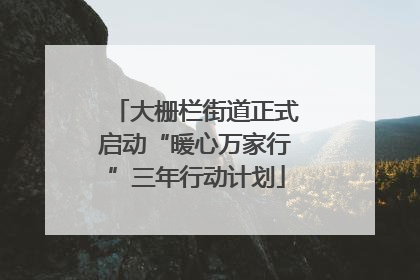 大栅栏街道正式启动“暖心万家行”三年行动计划