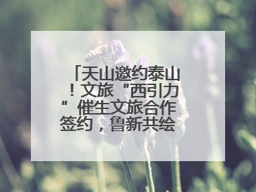 天山邀约泰山！文旅“西引力”催生文旅合作签约，鲁新共绘丝路诗与远方