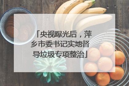 央视曝光后，萍乡市委书记实地督导垃圾专项整治