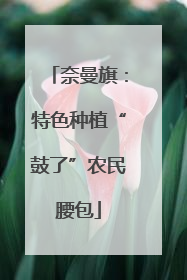 奈曼旗：特色种植“鼓了”农民腰包