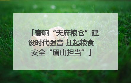 奏响“天府粮仓”建设时代强音 扛起粮食安全“眉山担当”