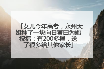 女儿今年高考，永州大姐种了一块向日葵田为她祝福：有200多棵，送了很多给其他家长