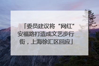 委员建议将“网红”安福路打造成文艺步行街，上海徐汇区回应