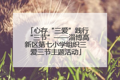 心存“三爱”践行“三节”——淄博高新区第七小学组织三爱三节主题活动