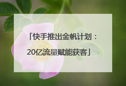 快手推出金帆计划：20亿流量赋能获客